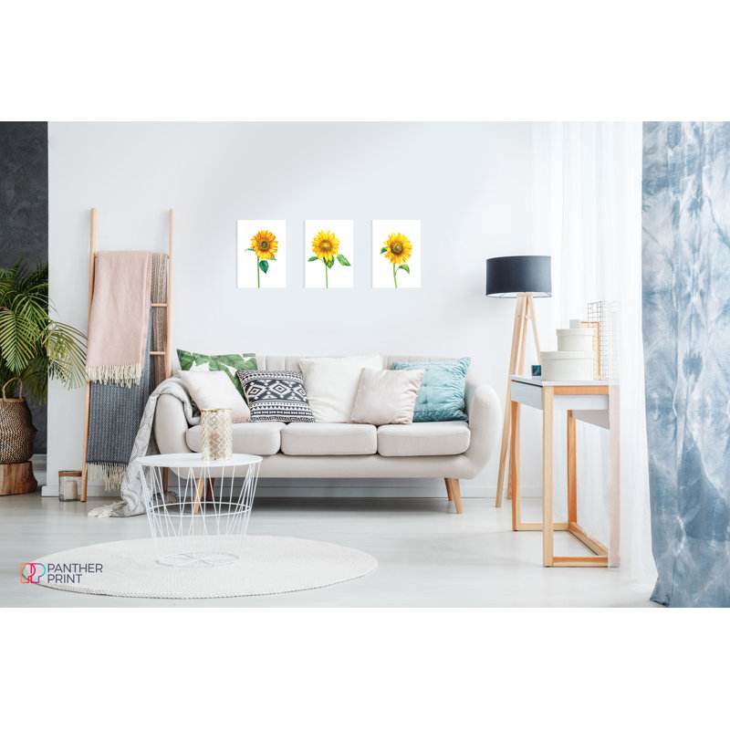 Sunflower - 3 Piece No Frame Print Set, 29.7cm H x 21cm W