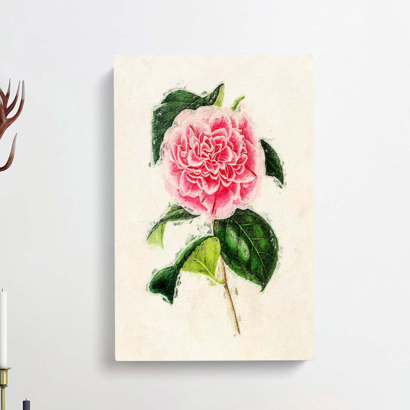 Illustration of a Pink Japanese Camellia - Wrapped Canvas, 50cm H x 35cm W x 3cm D