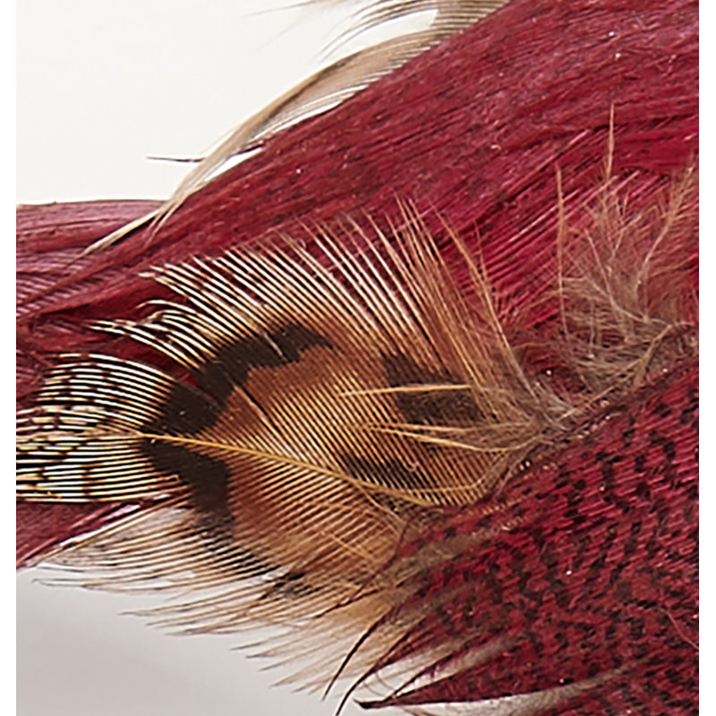 Oiseau à plumes 4,5 po avec pince, Bourgogne