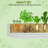 Galvanized Metal Raised Garden Bed – Weatherproof, Rust-Resistant Outdoor Planter, 0.6mm Durable Steel with Safe Edging – For Vegetables, Herbs, Flowers (Beige, 4x4x2FT)-1476812619-1476812616