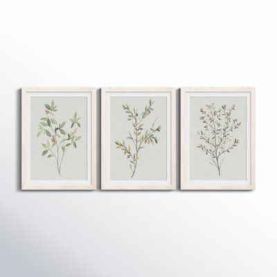 " Single Sprig I " 3 - Pieces Painting Print