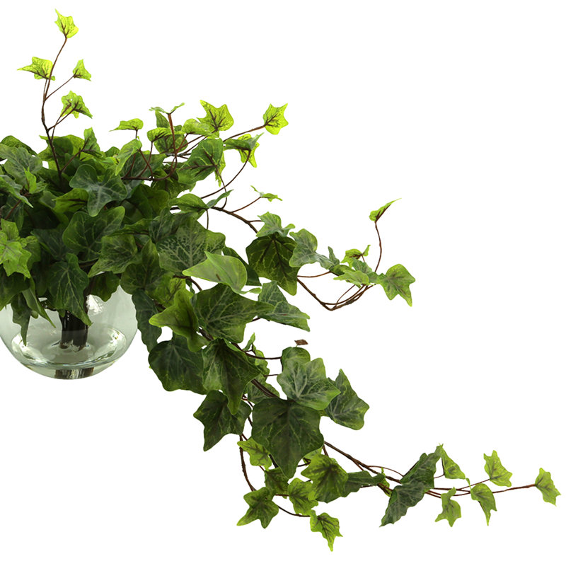 Jenner Faux Ivy Plant in Glass Vase