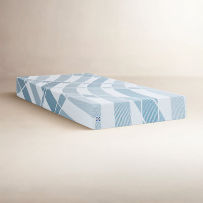 Sealy® Dreamlife™ 8" Medium-Firm Foam Mattress