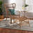 Bagryana 30.7" W Rattan Wingback Chair and Ottoman
