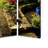Rampzipoor 48 " W x 72 " H 3 - Panel Solid Wood Folding
