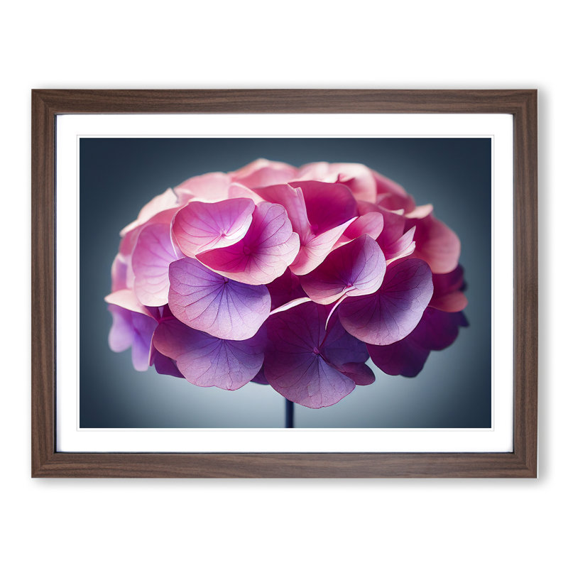 Pure Hydrangea Flowers - Single Picture Frame Print, 46cm H x 64cm W x 2cm D, Walnut