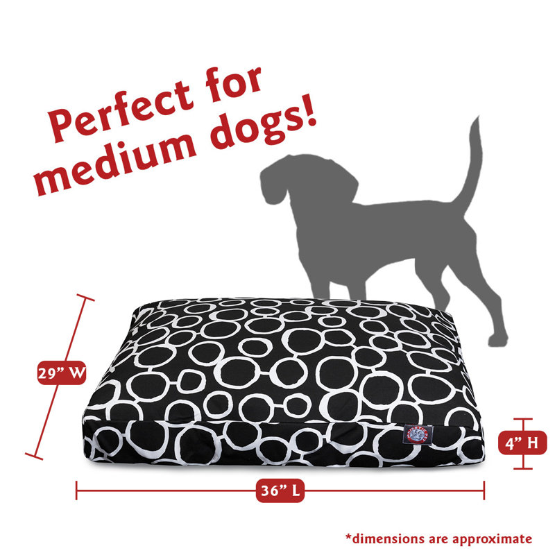Coussin Fusion Orthopedic, Noir, Moyen (l 29 po x P 36 po x H 5 po) ;