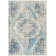 Oriental Indoor Rug