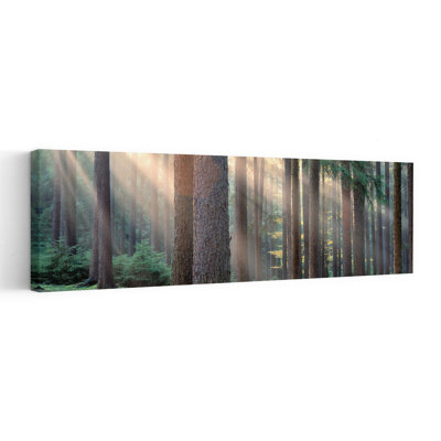 Sunlight Shining Through Trees In A Forest, South Bohemia, Czech Republic Abstract Contemporary Forest Nature Wall Art