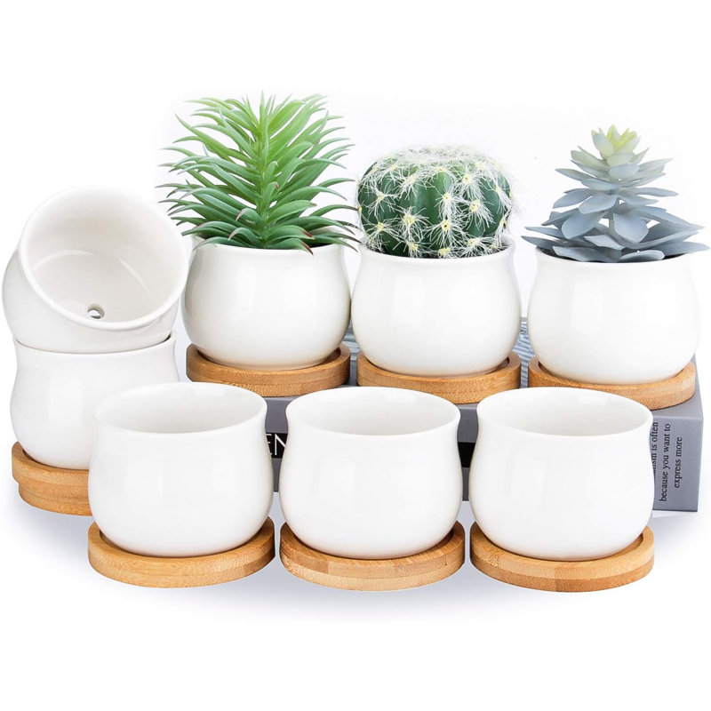 Ensemble de 8 mini pots à succulence en céramique blanche (2,6 po) avec plateaux en bambou