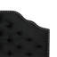 Grande tête de lit contemporaine et tête de lit double - Velours rembourré avec motif à boutons et têtes de clou captivantes-1238523890-1238523892
