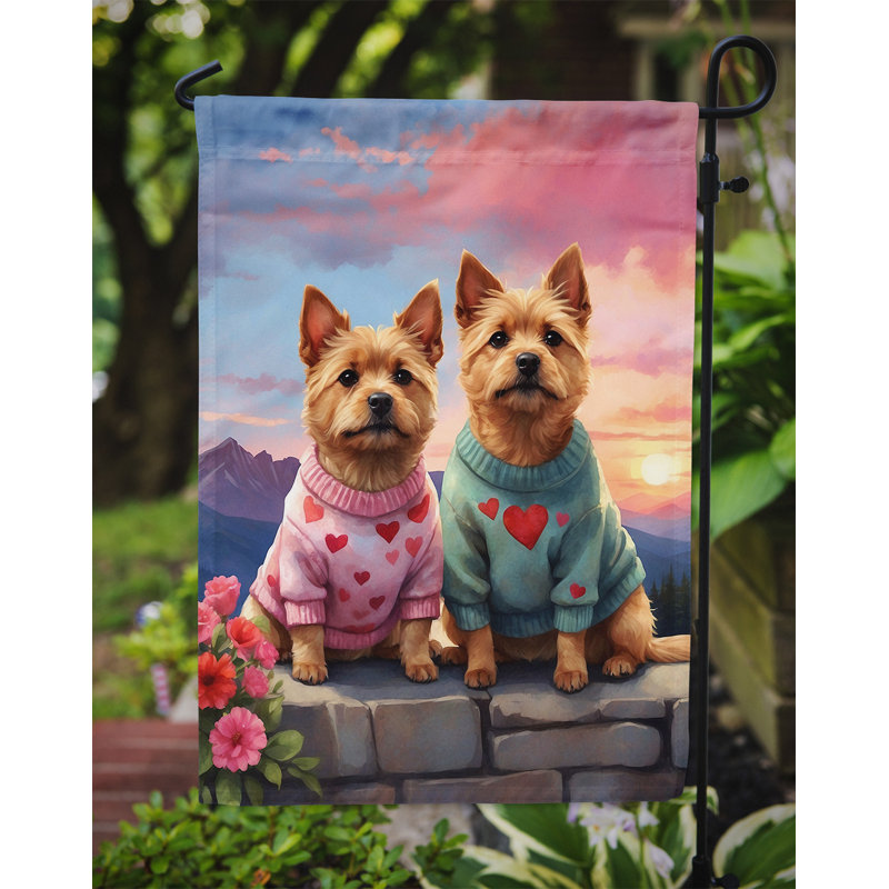 Drapeau pour chien double face en polyester H 15,5 po x l 11,25 po