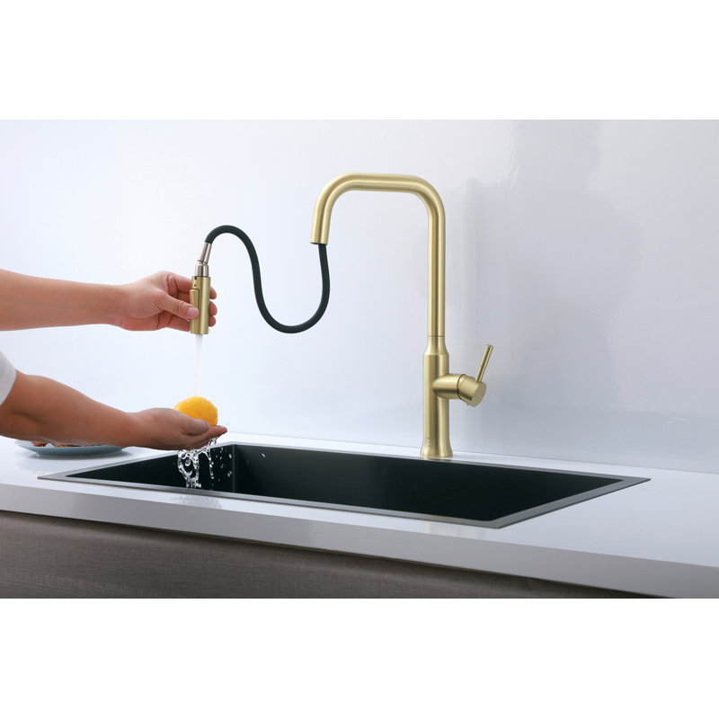 Elegant Home Living Noor Pull Down Kitchen Faucet, Brushed Gold