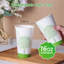 210 Count 16 Oz Compostable Cups, Biodegradable Disposable Paper Cups With PLA Lined, Eco-Friendly Paper Coffee Cups For Party, Picnic,Travel,And Events
