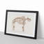 Mammoth Skeleton by Charles d' Orbigny - Picture Frame Graphic Art Print-55576647-55576644