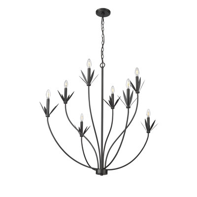 8 Light 40.5 In. Matte Black Chandelier