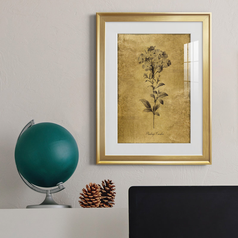 Reproduction d'art encadrée dorée Botanical II, Or, H 24,5 po x l 18,5 po x P 1,5 po