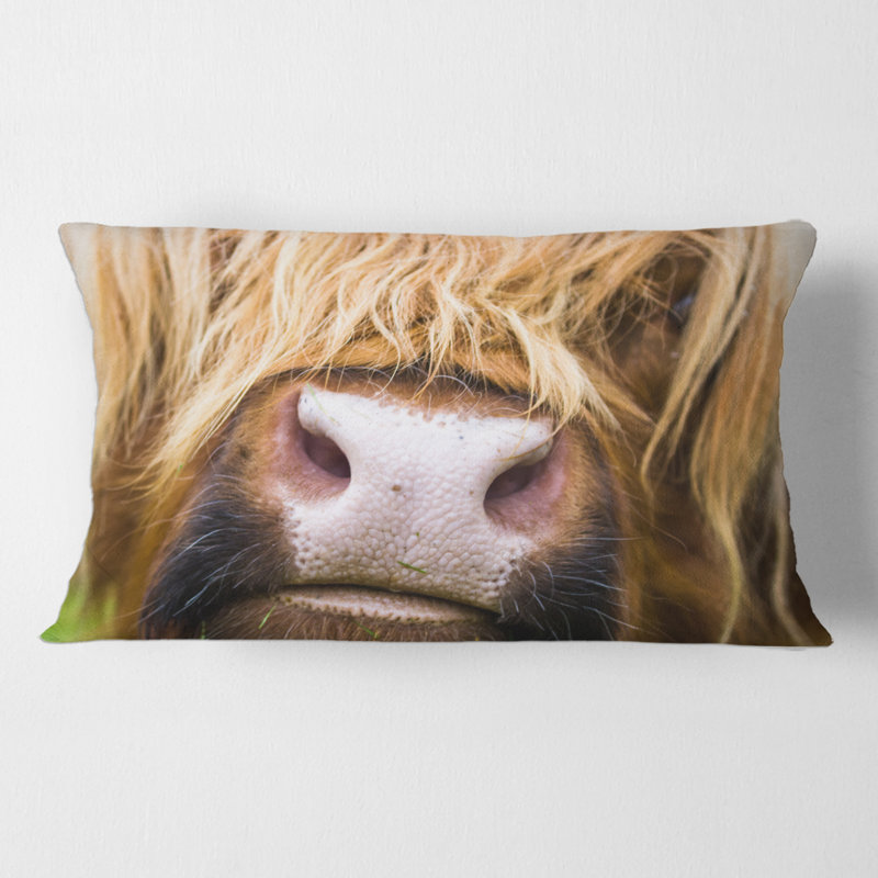 Housse et insert de coussin rectangulaire gros plan Highland