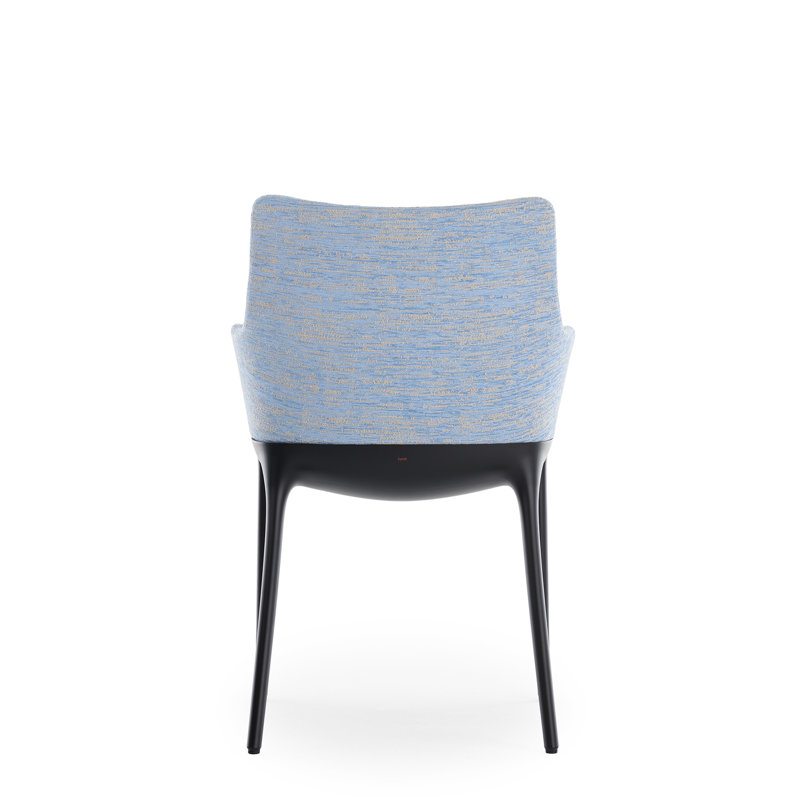 Eleganza Nia, Noir, Bleu clair