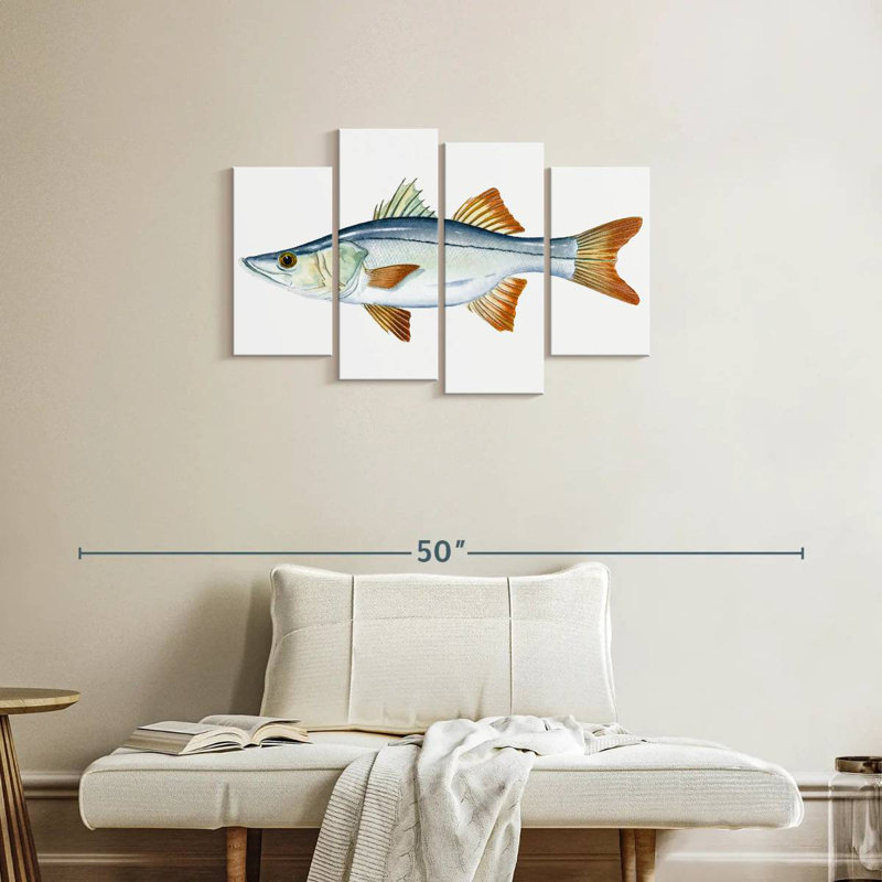 Brampt Snook, H 22 po x l 36 po