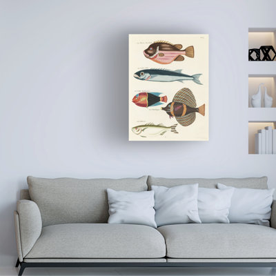 " Renard Tropical Fish IV " by Louis Renard