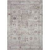 Bonney Oriental Indoor Rug