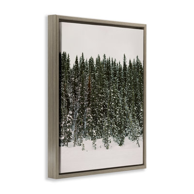 Winter Forest Grove Framed Floater Canvas Wall Art by Justine Milton