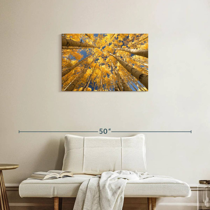 Toile Harnek Golden Aspen, H 20 po x l 30 po