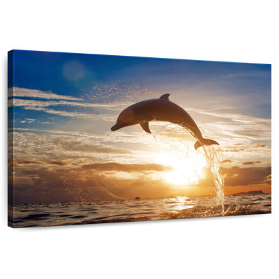 Crowle Jumping Dolphin