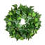 Faux Ivy Plant-855589348
