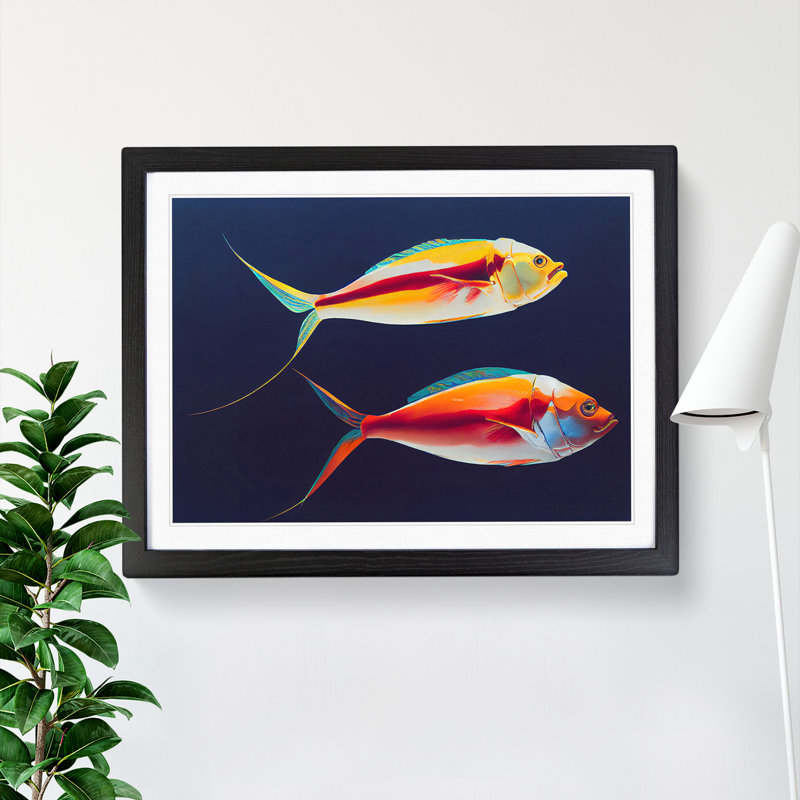 Prime Fish - Single Picture Frame Print, Black Framed, 46cm H x 64cm W x 2cm D