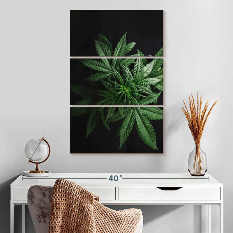 Cannabis Leaves