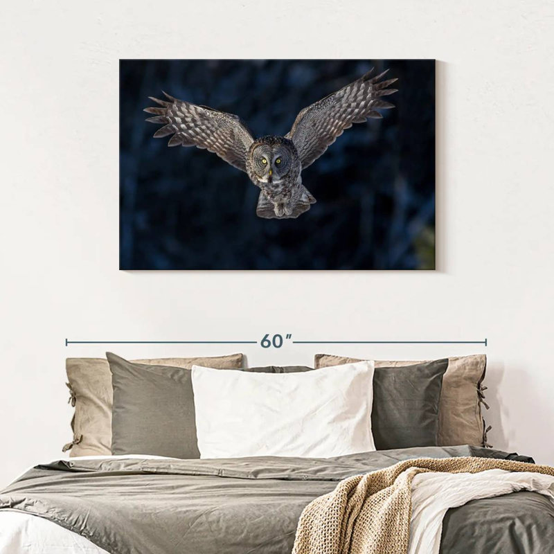 Flying Gray Owl, 30" H x 45" W
