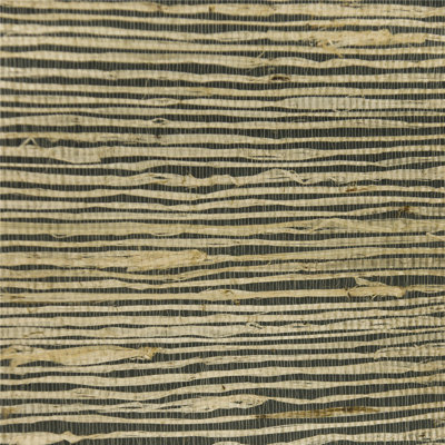 Rouleau de papier peint noir Hahne