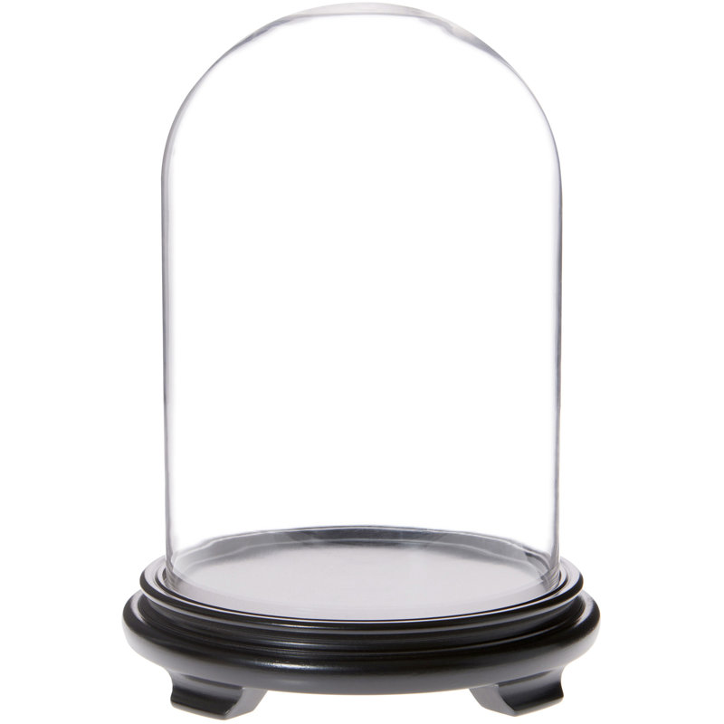 Keisher 8" x 12" Glass Display Dome Cloche, Black Wood Veneer Base