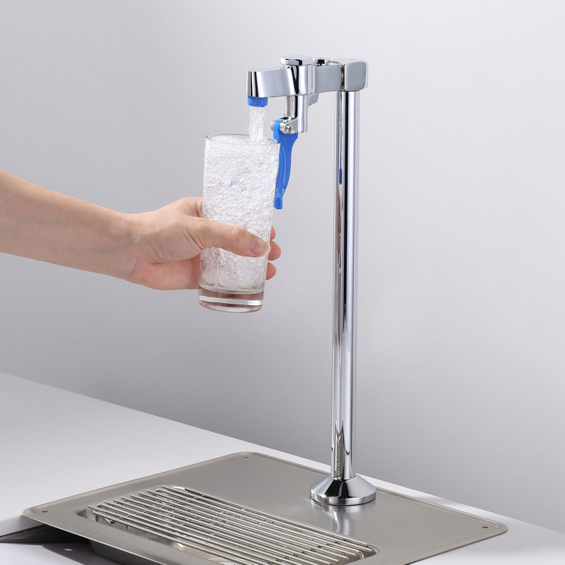 Robinet de cuisine Aleasha, Chrome