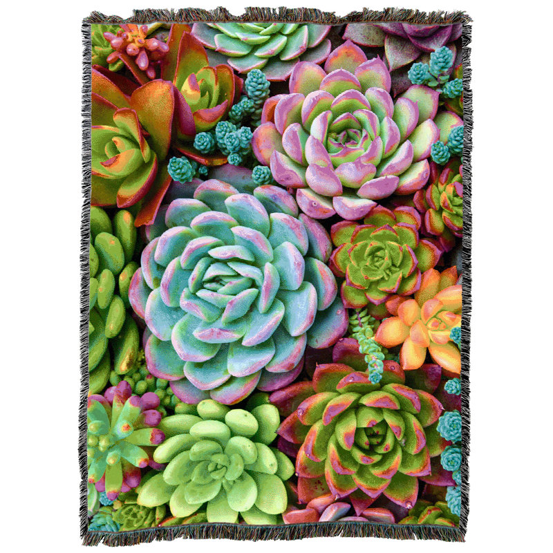 Jeté en coton Pure Country Weavers, Plantes grasses vives