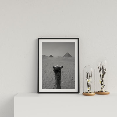 Camel Trek To Pyramids by Vouvart - Single Picture Frame Print