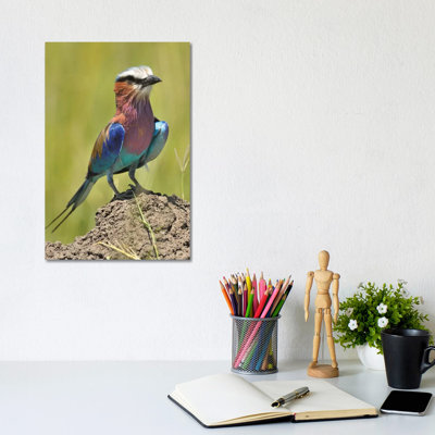 " Lilac-Breasted Roller " by Elmar Weiss