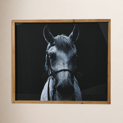 Black and White Equestrian Print