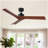 52" Black Lowe Profile Ceiling Fan without Light