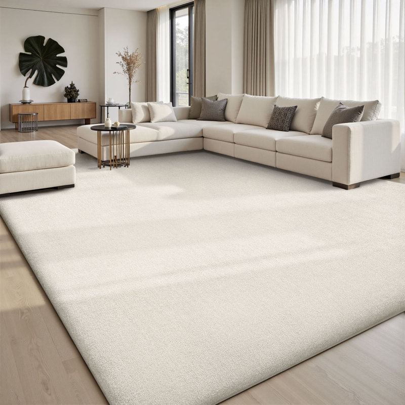9x12 Area Rugs for Living Room, Soft Large Area Rug Fluffy Rugs for Bedroom，Machine Washable Area Rug Non Slip Carpet Rug for Living Room Playroom Kids Room Home Decor