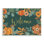 Citrouille, vendange, récolte, signe, vert, orange - Art textuel