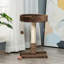 Northborough Cat Perch-761856257