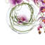 Orchid and Vine Arrangement in Glass Vase-44807556