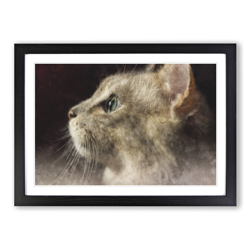 Curious Cat - Picture Frame Graphic Art Print, Black Framed, 33cm H x 45cm W x 2cm D