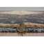 Tapis noir et ivoire Connor-Jay-514762331