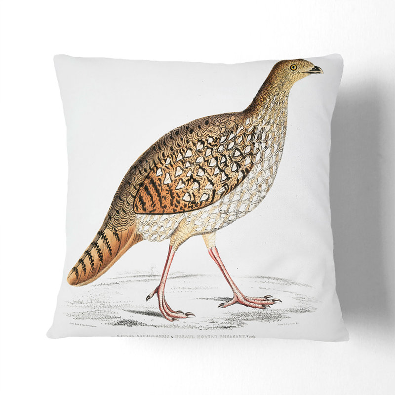 Pheasant Illustration by John Edward Gray Cushion with Filling, Black, 55cm H x 55cm W x 20cm D