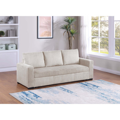 Sleeper Sofa with Pull-Out Bed