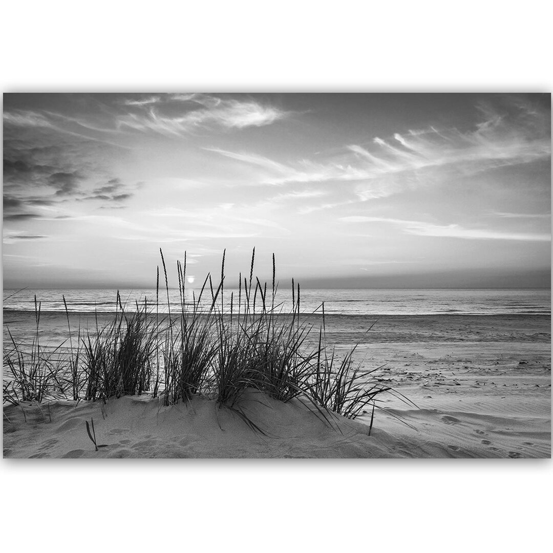 Leinwandbild Gras am Strand 2